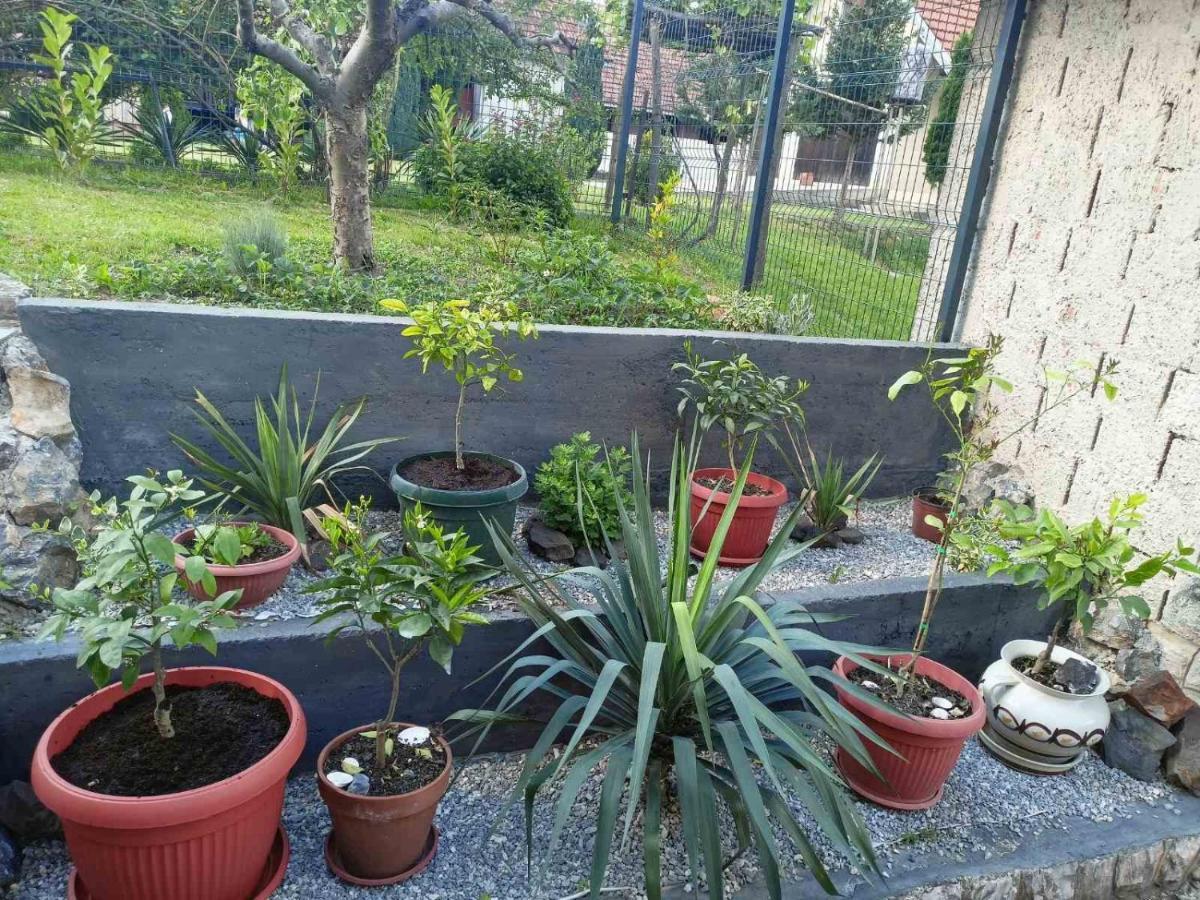 Apartman Excluziv Prijedor Kültér fotó